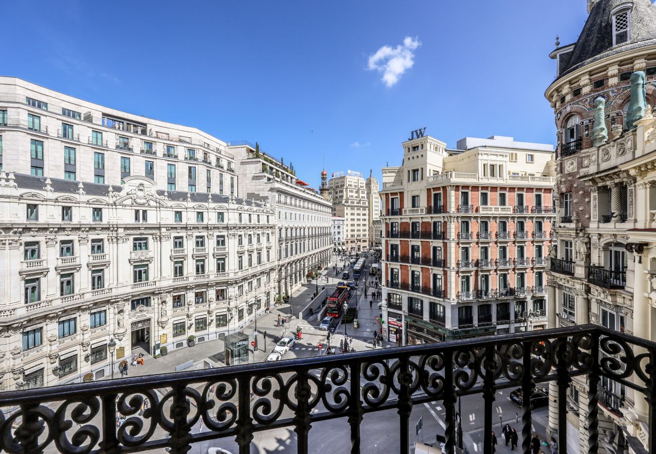 Aparthotel in Madrid - Impressive apartment in the center of Madrid 