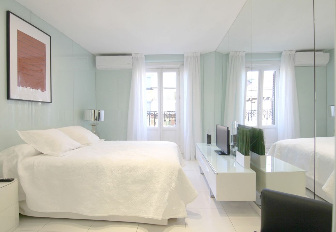 Apartment in Madrid - Loft  in the center GRAN VIA SB2 