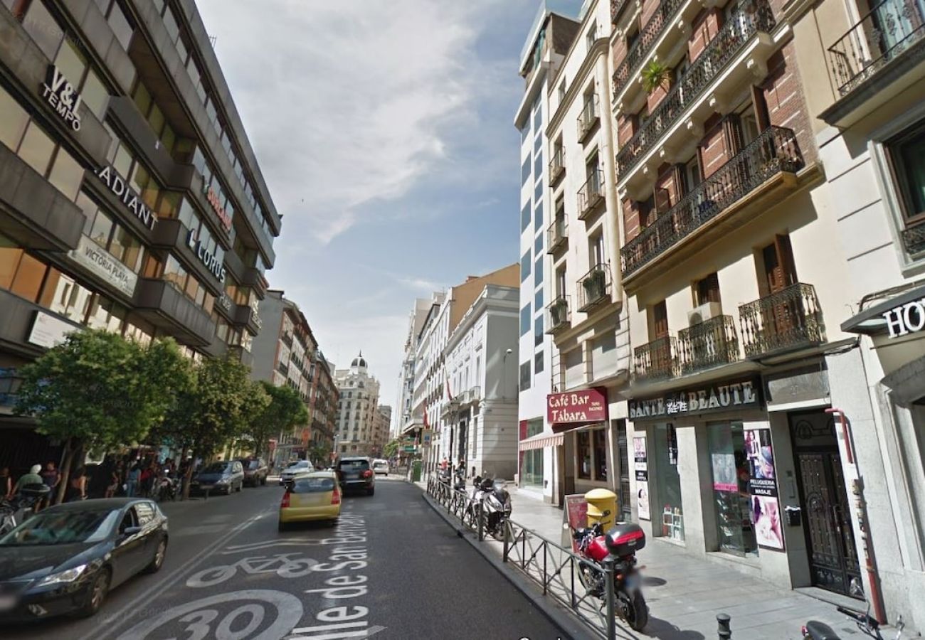 Apartment in Madrid - Loft  in the center GRAN VIA SB2 