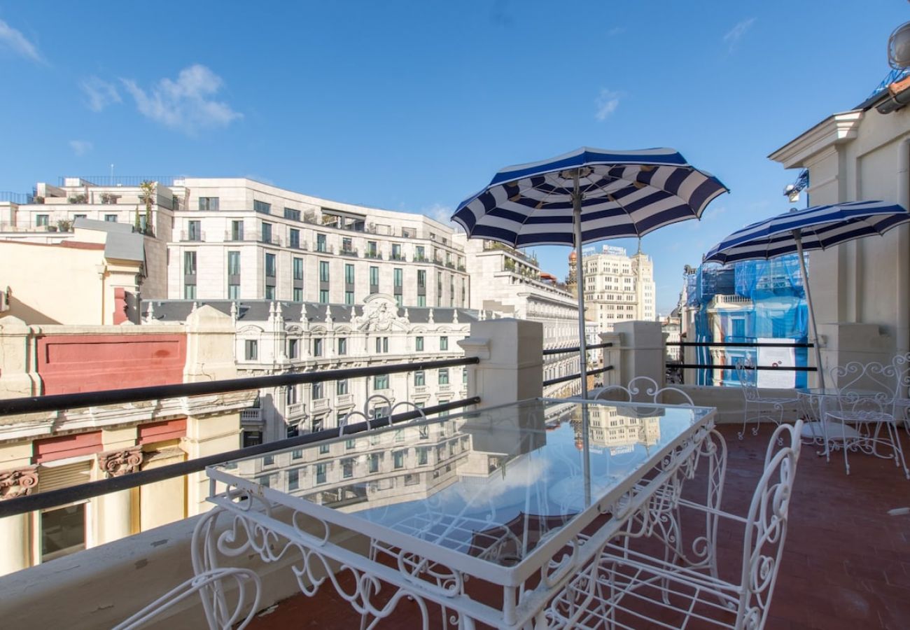 Aparthotel in Madrid - Impressive penthouse in the center of Madrid 