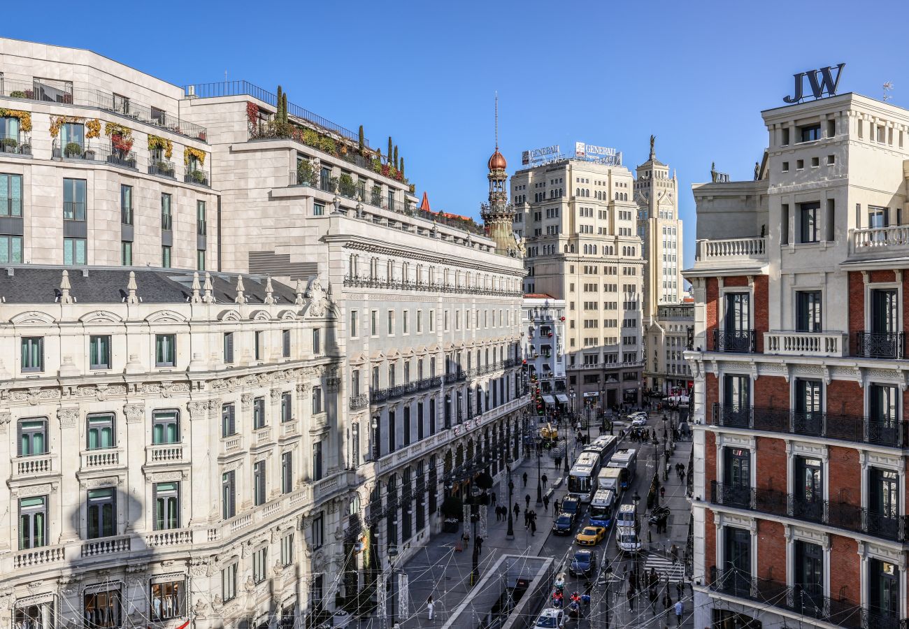 Aparthotel in Madrid - Impressive penthouse in the center of Madrid 