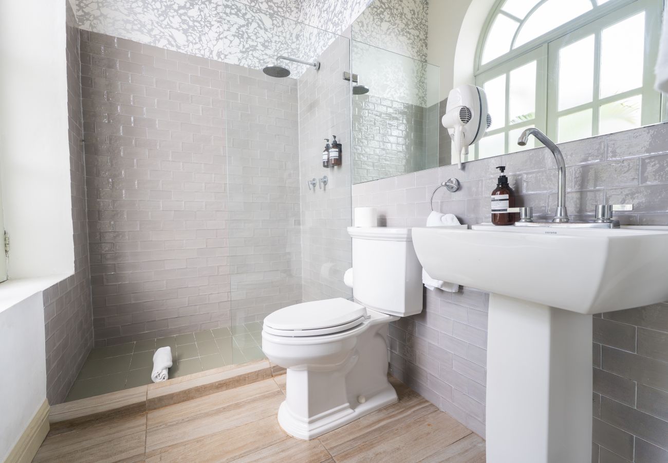 Studio in Ciudad de Panamá - Renovated Apartment with Balcony in Casco Viejo M8