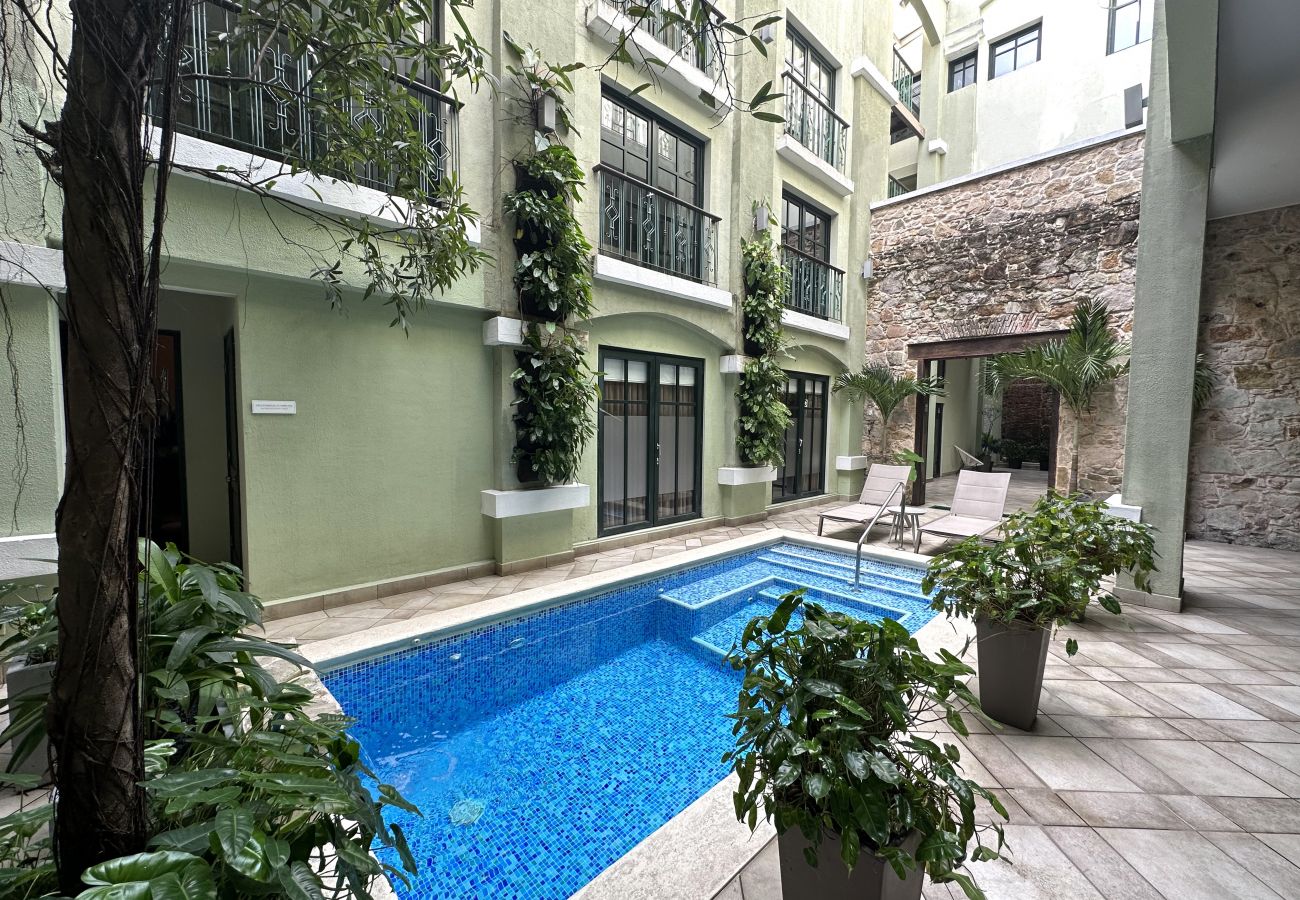 Apartment in Ciudad de Panamá - Duplex with pool in front of national theater D6 