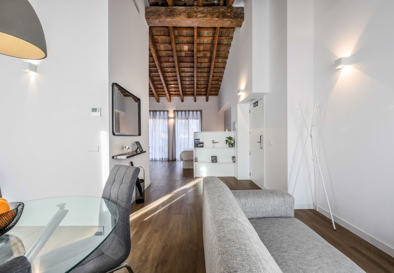 Studio in Valencia / València - Beautiful renovated studio penthouse
