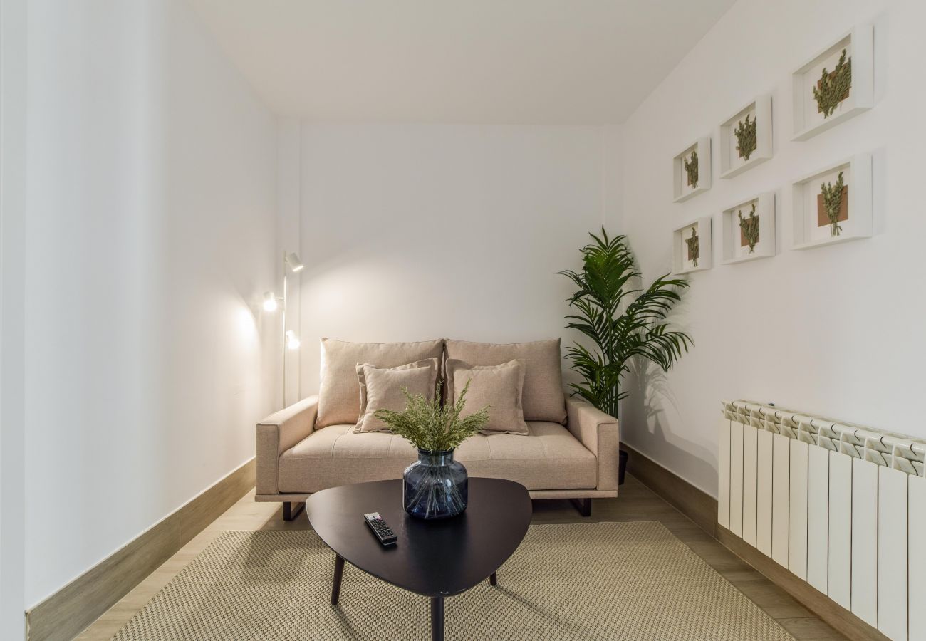 Apartment in Madrid - Design and amazing apartment 6I-Iz