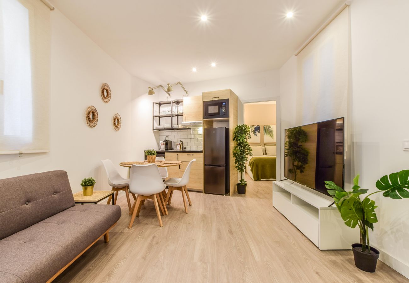 Apartment in Madrid - Magnificent Double Apartment Lavapiés-Atocha A1E