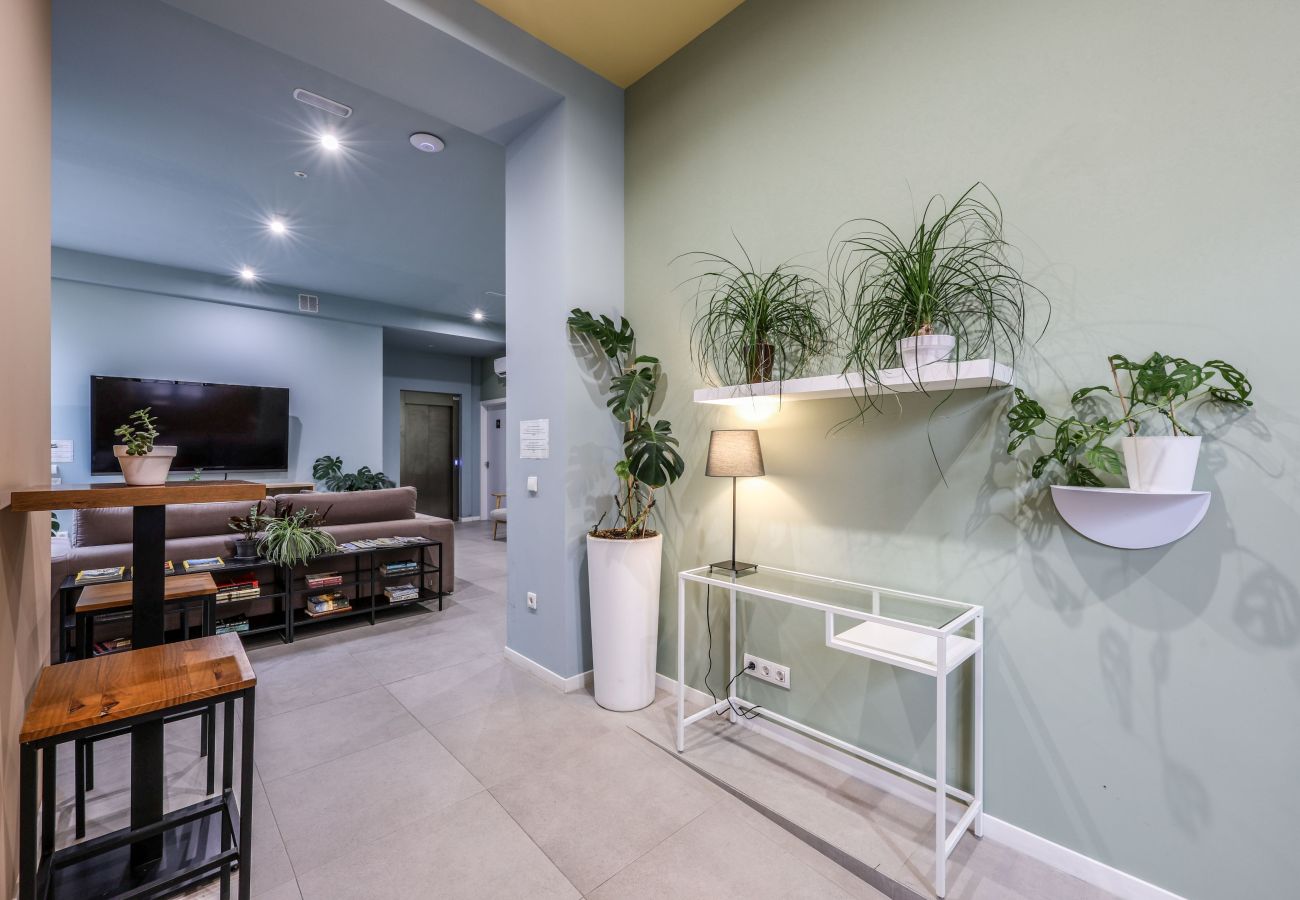 Studio in Valencia / València - New studio 5 minutes walking to beach 1B