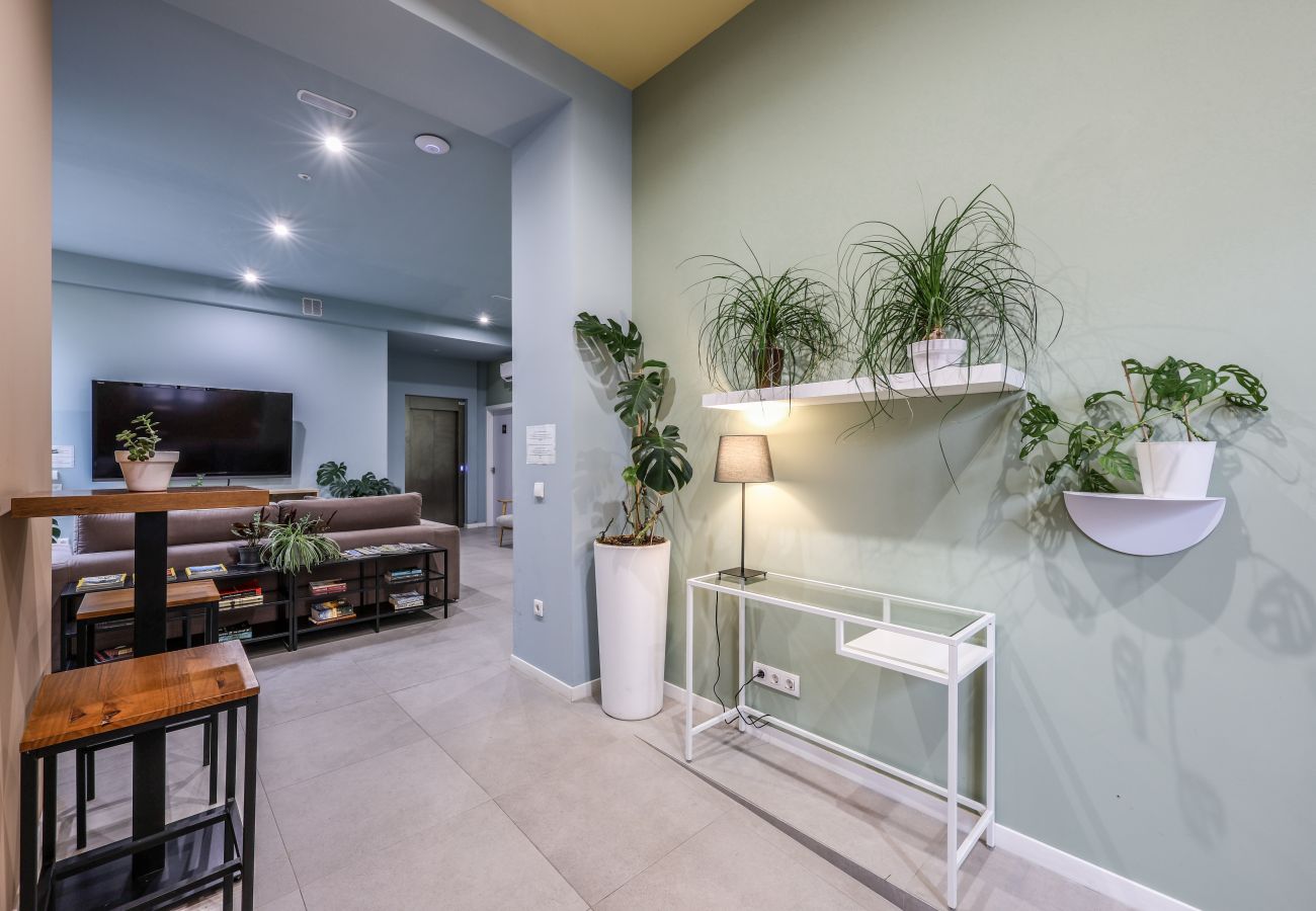 Apartment in Valencia / València - NEW apartment near to the beach 1D