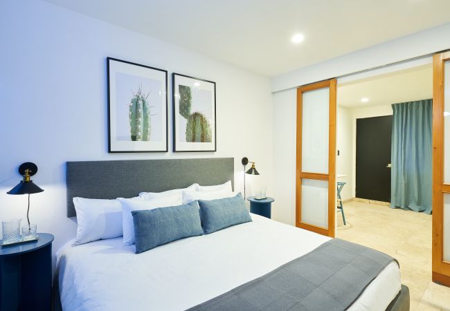 Apartment in Ciudad de México - Large and modern 1-bedroom apartment with kitchen C14