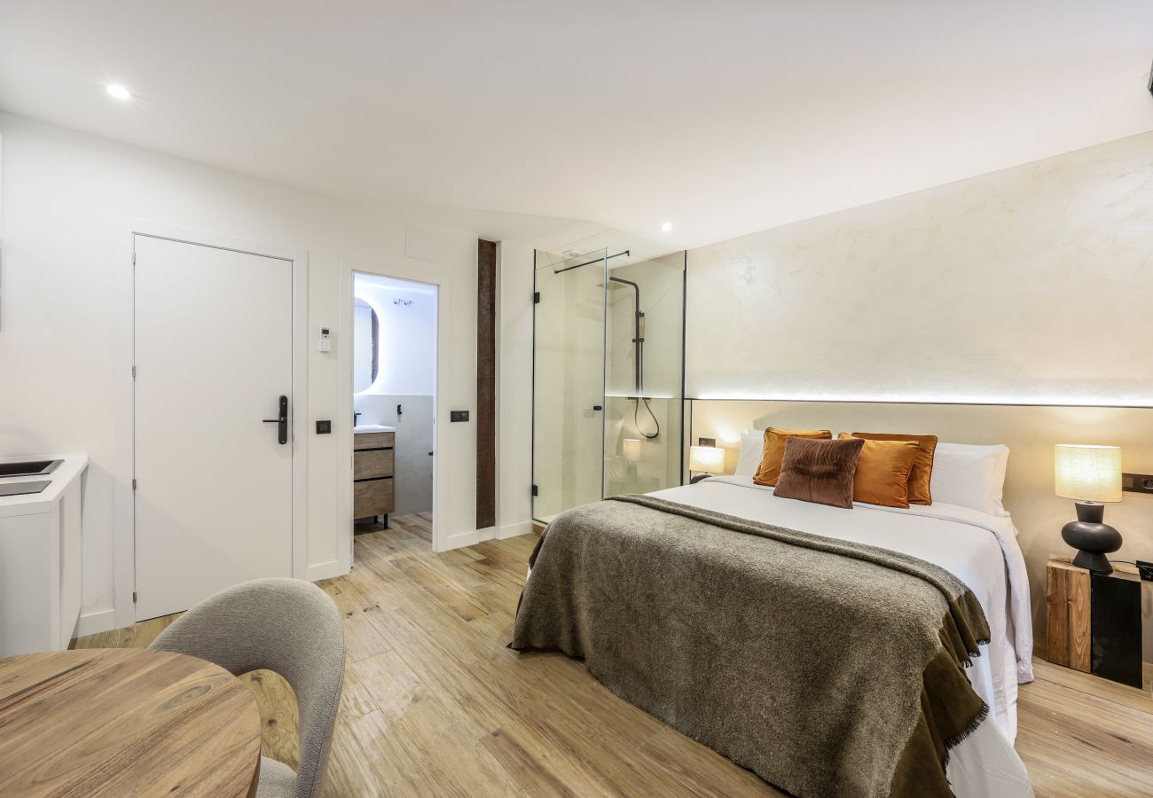 Aparthotel in Madrid - Comfortable loft in downtown center (P1C)
