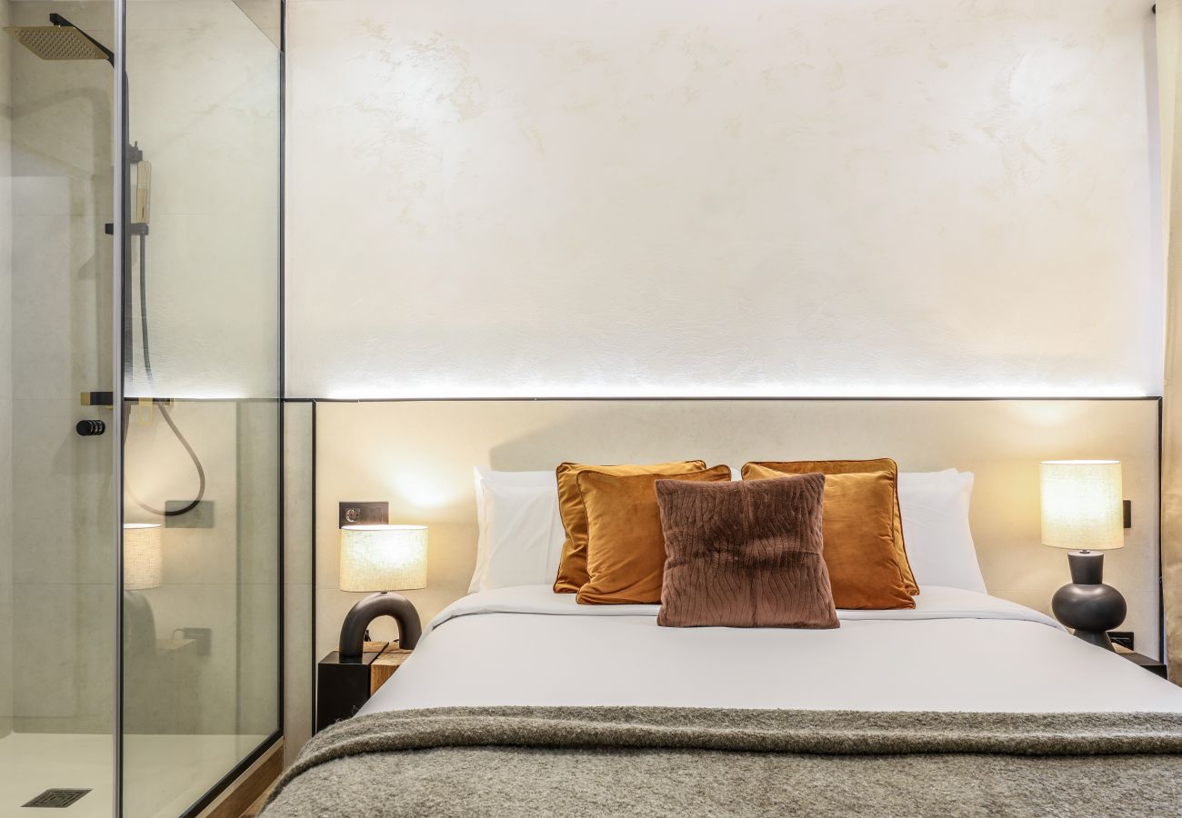 Aparthotel in Madrid - Comfortable loft in downtown center (P1C)