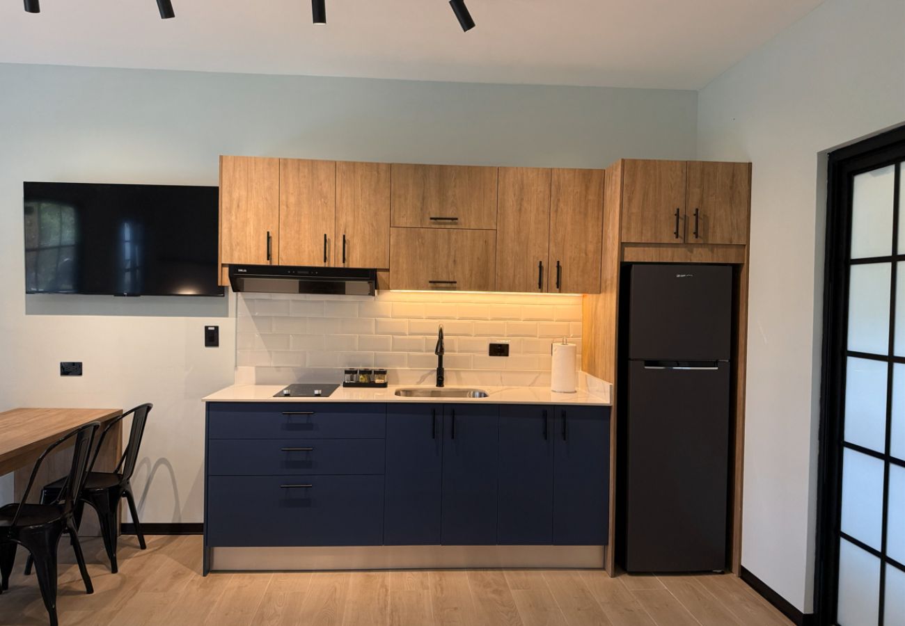 Studio in Valle de Anton - Altavida Lodge · Beautiful New Studio in El Valle · N4