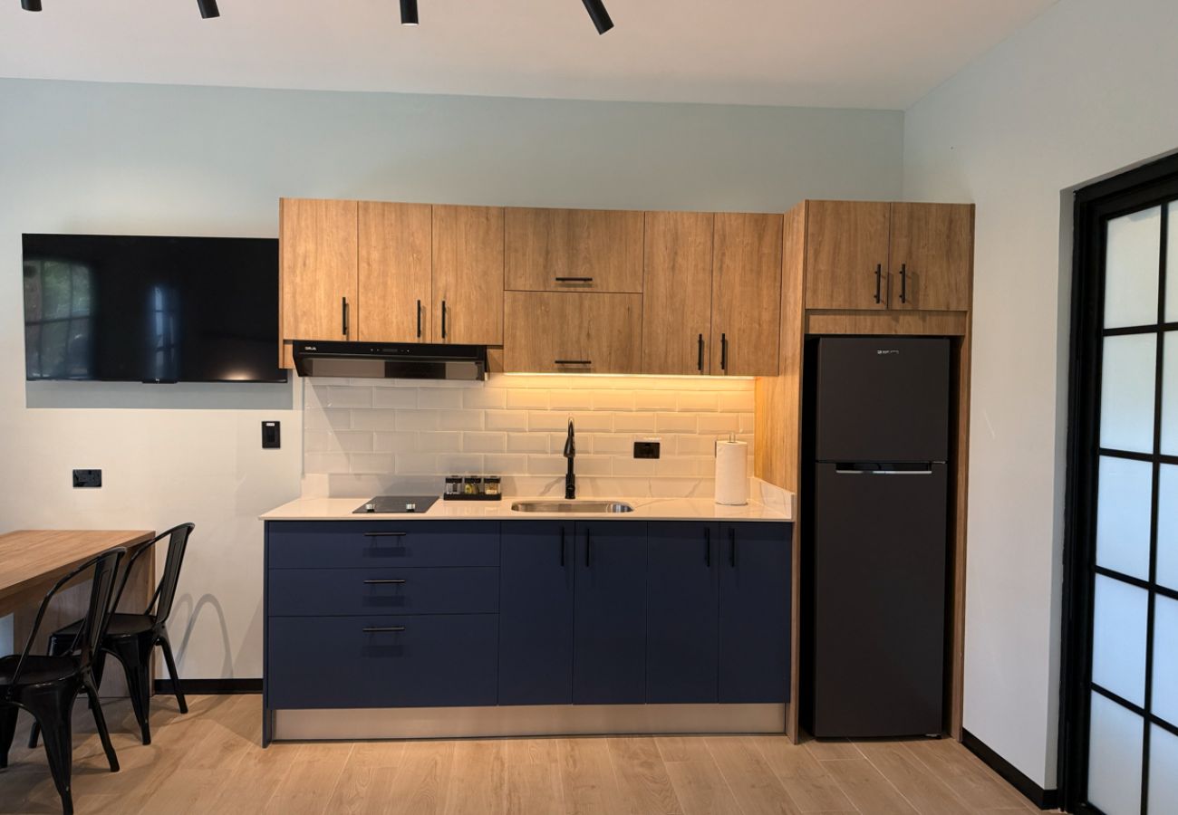 Studio in Valle de Anton - Altavida Lodge · New Studio with Pool in El Valle · N5